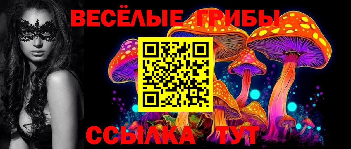 Галлюциногенные грибы Psilocybe Кыштым